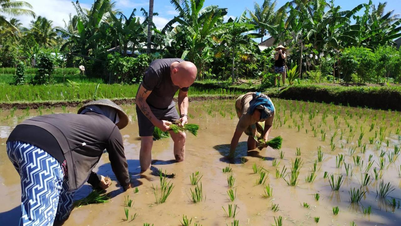 Bunga Maliq Bungalow Lombok Tetebatu Ngoại thất bức ảnh