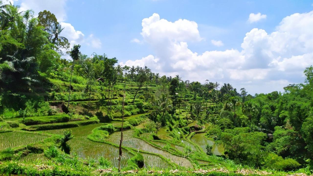 Bunga Maliq Bungalow Lombok Tetebatu Ngoại thất bức ảnh