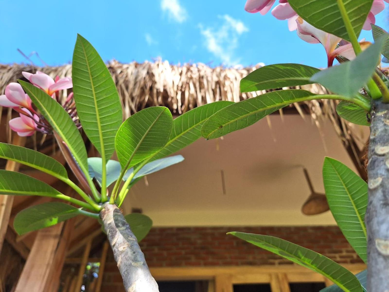 Bunga Maliq Bungalow Lombok Tetebatu Ngoại thất bức ảnh