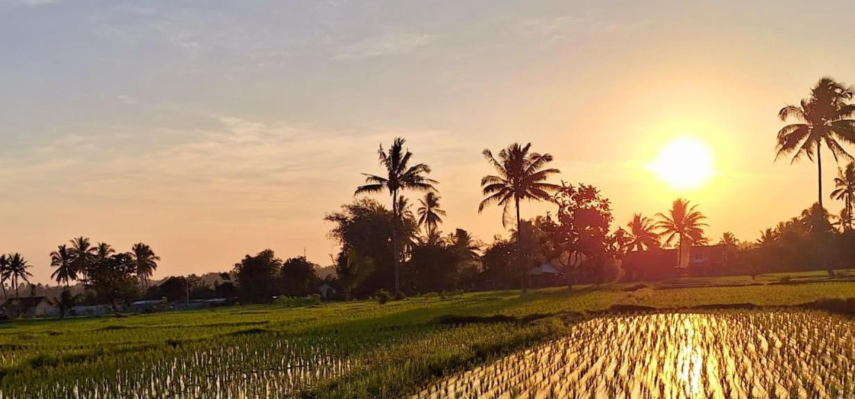 Bunga Maliq Bungalow Lombok Tetebatu Ngoại thất bức ảnh