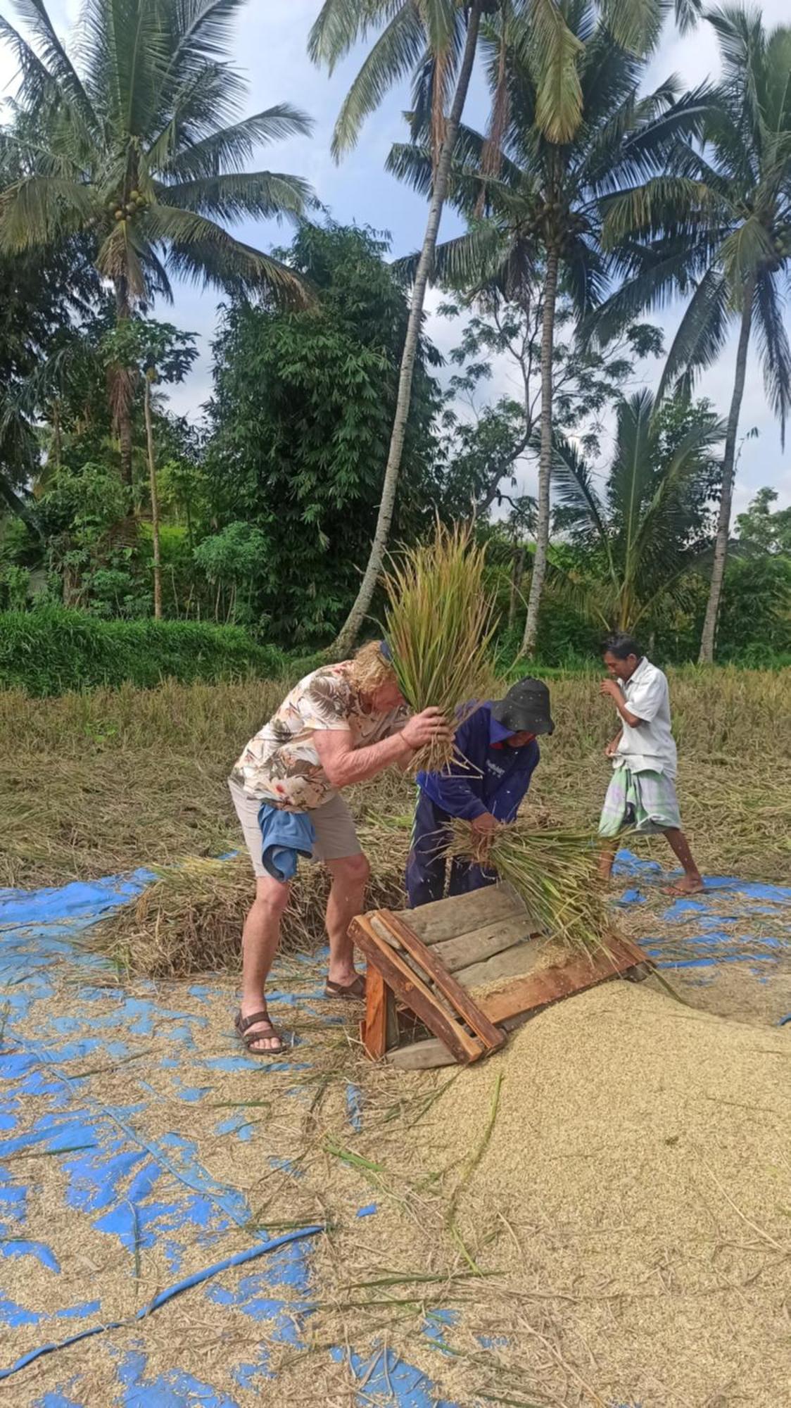 Bunga Maliq Bungalow Lombok Tetebatu Ngoại thất bức ảnh