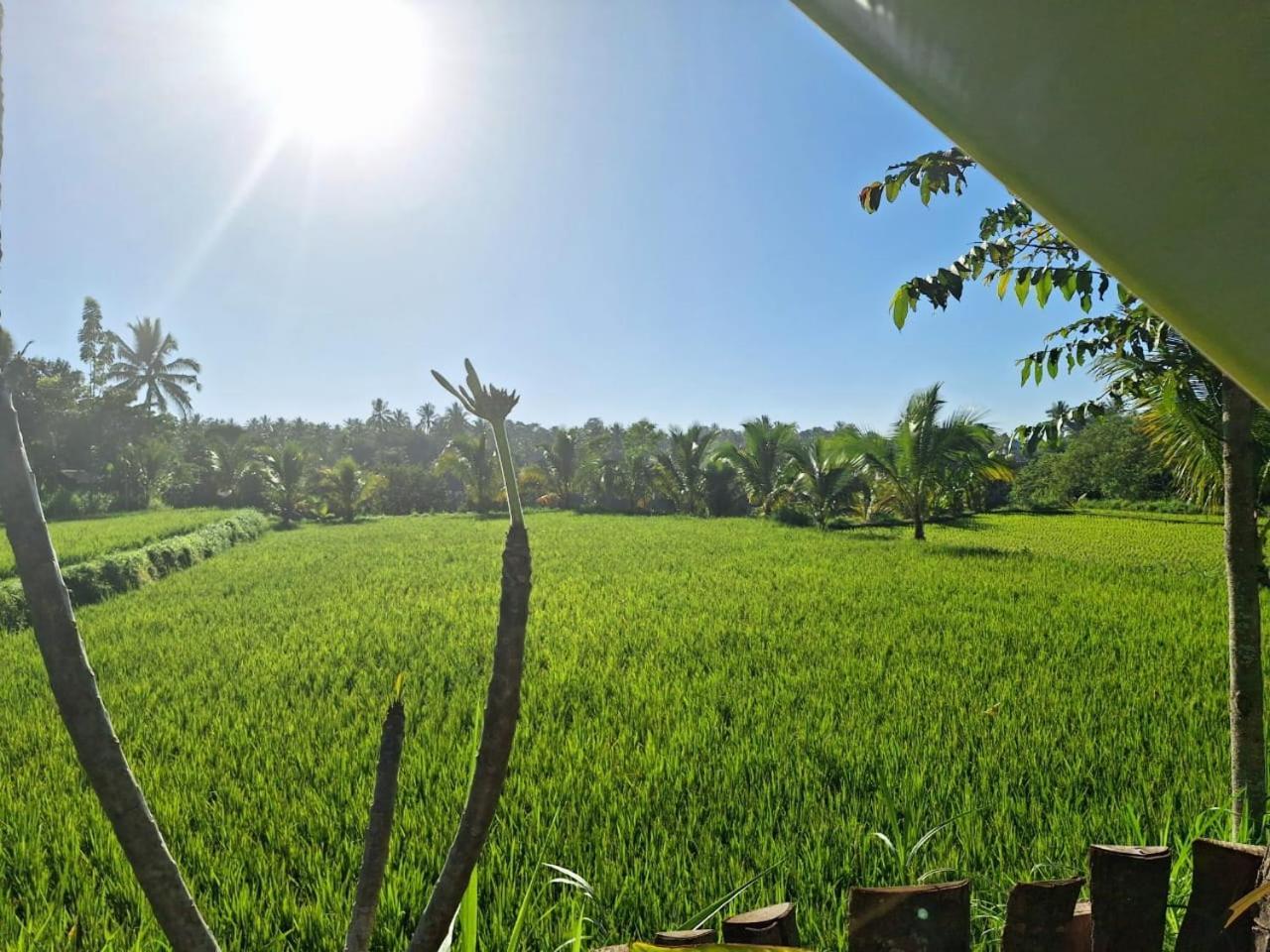 Bunga Maliq Bungalow Lombok Tetebatu Phòng bức ảnh