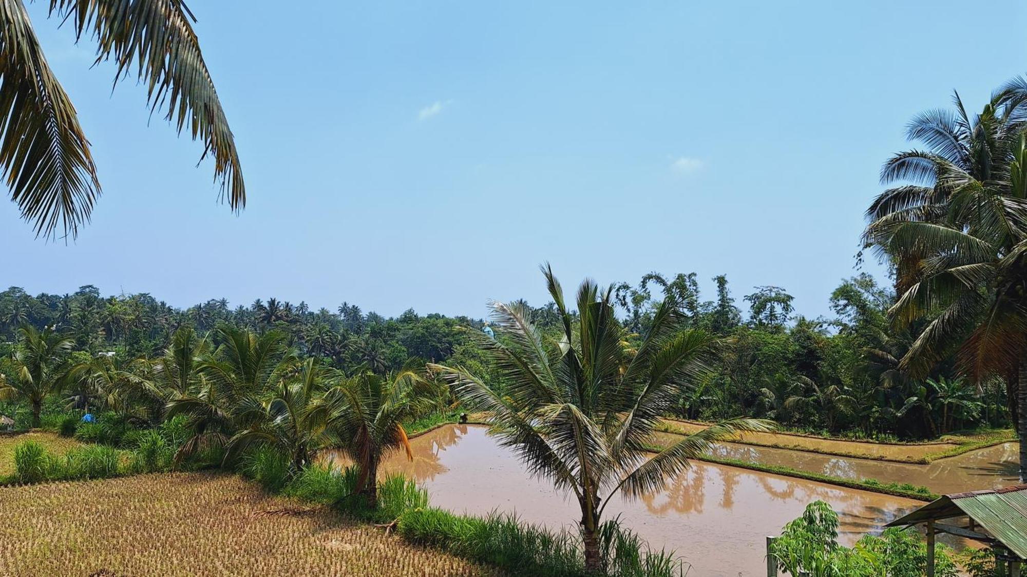 Bunga Maliq Bungalow Lombok Tetebatu Ngoại thất bức ảnh
